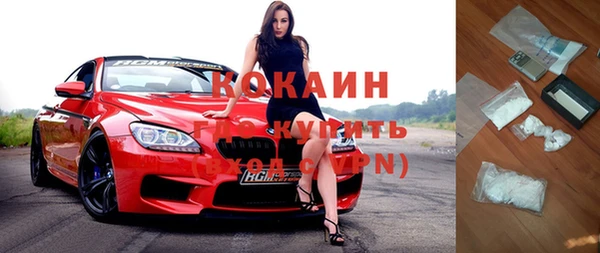 стаф Осинники