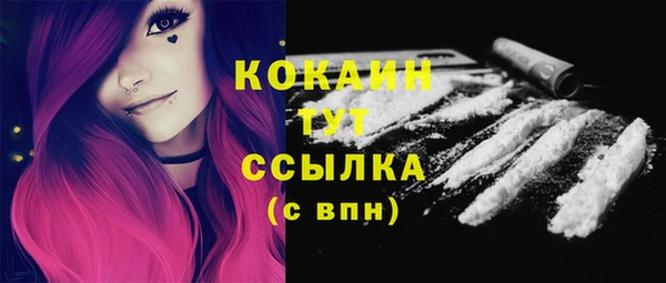 стаф Осинники