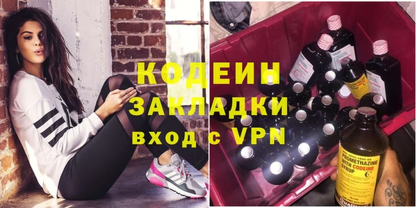 стаф Осинники