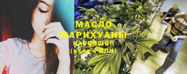 стаф Осинники
