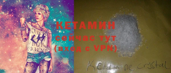 стаф Осинники