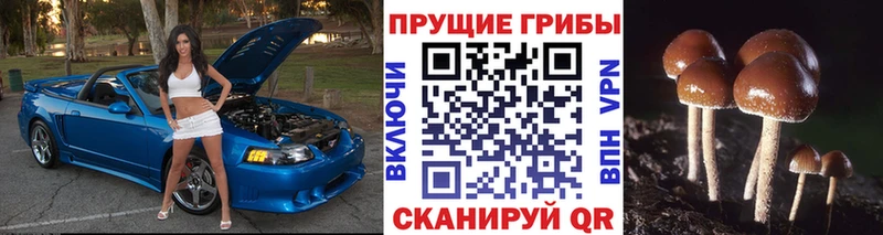 Псилоцибиновые грибы MAGIC MUSHROOMS  mega ссылка  Калачинск 